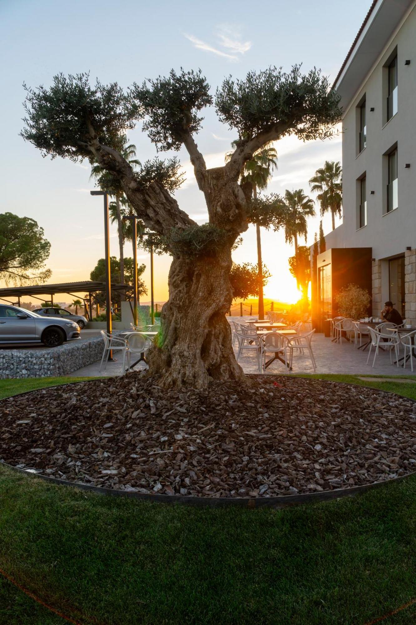Hotel Rural Finca La Desa Miajadas Exteriér fotografie